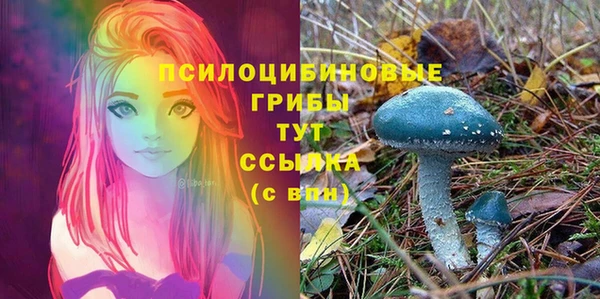 индика Белоозёрский