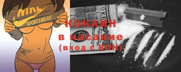 индика Белоозёрский