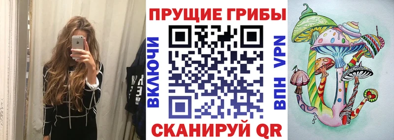 Псилоцибиновые грибы Psilocybe Юрьев-Польский